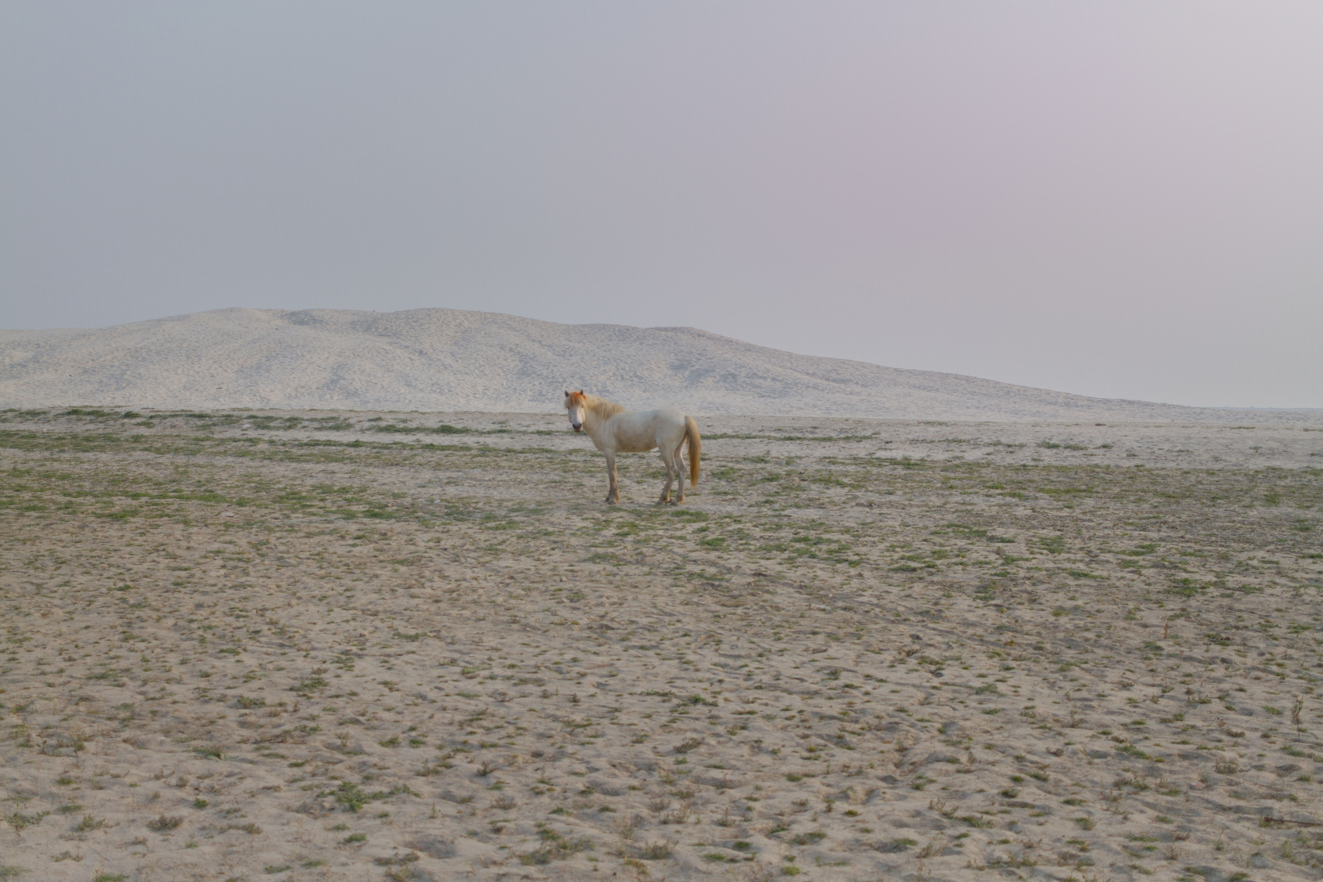 Through the barren whispers of the wind, a lone soul wanders, untamed yet confined. Struggling against the weight of emptiness, seeking solace in the echoes of the divine