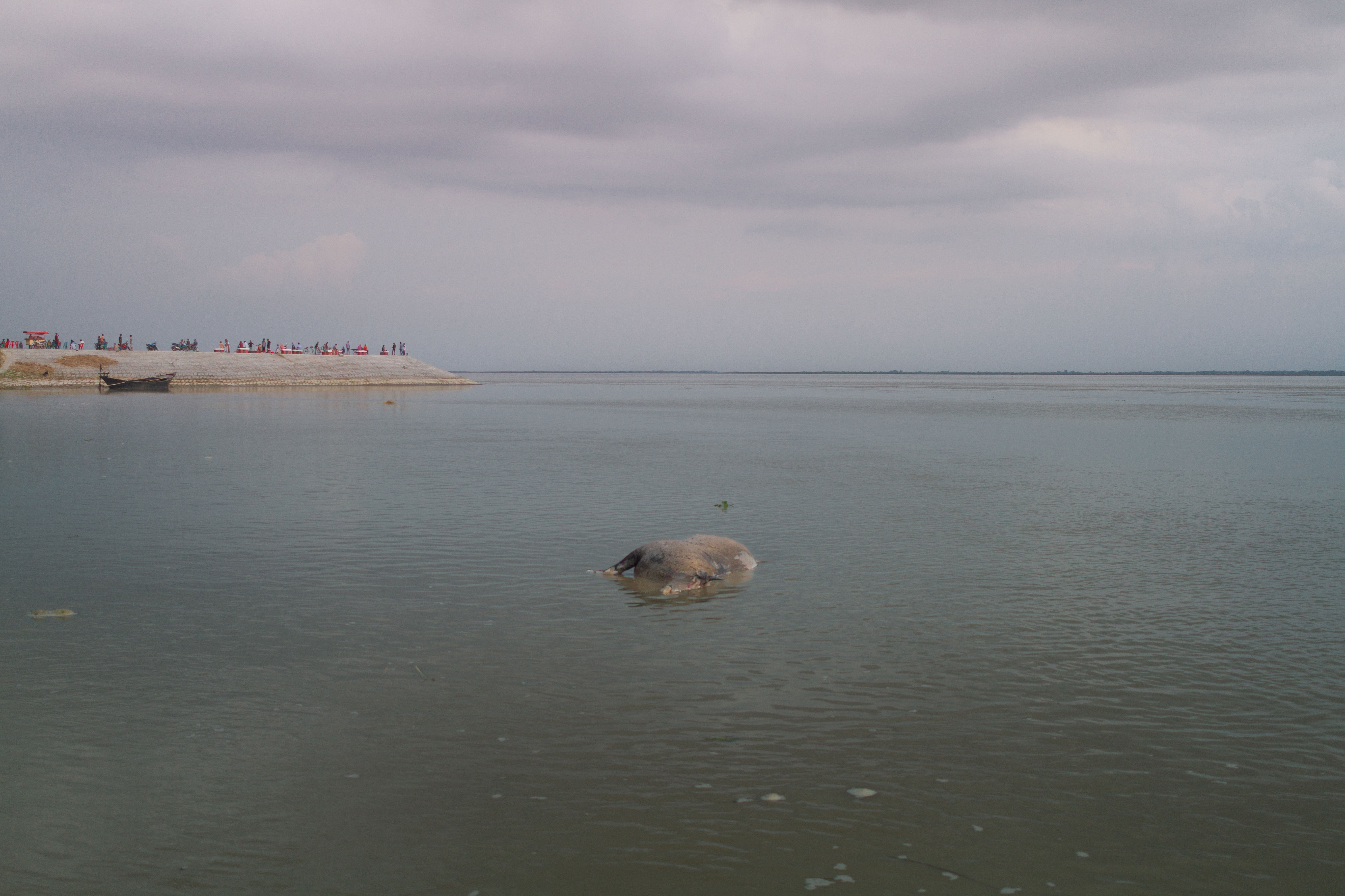Asking emptiness is like a dead cow floating on a river—a lost wave of a song that no one ever wants to hear.
